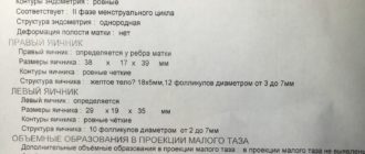 На осмотре сказали что беременность есть, узи не подтвердило