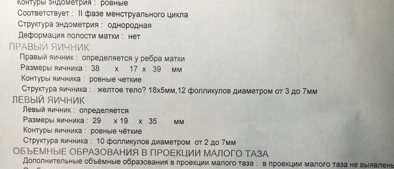 На осмотре сказали что беременность есть, узи не подтвердило