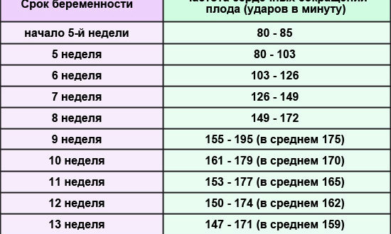 Чсс у плода