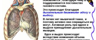 Движение воздуха в лёгком