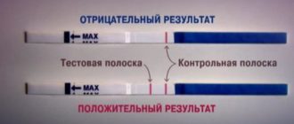 Что означают две полоски по тесту на беременность?