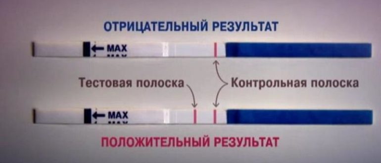 Что означают две полоски по тесту на беременность?