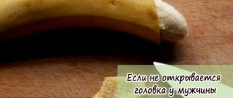 Эрегированный член открывается не полностью
