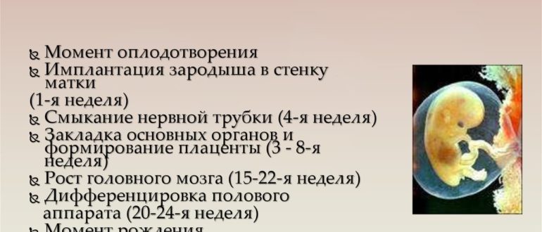 Эмбриональный срок не соответствует действительности