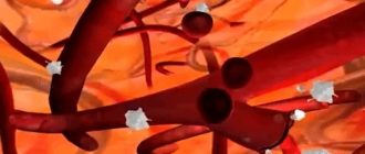 Может ли лопнуть кровяной сосуд в мужском органе