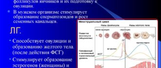 Эко и высокие гормоны ФСГ и ЛГ