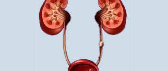 Мочевой пузырь и боли в почке