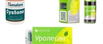 Влияние Цистона и Уролесана на цикл