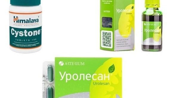 Влияние Цистона и Уролесана на цикл