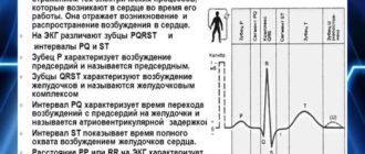 Достаточно ли раз в год делать ЭКГ и анализ крови?