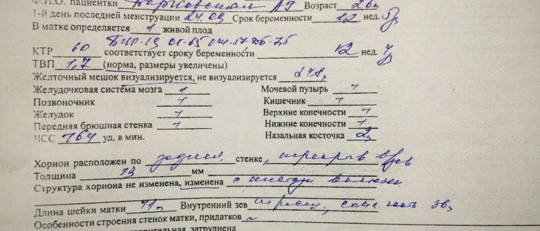 УЗИ скрининг 1 триместр можно ли повторить