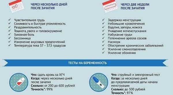 Врач не может определить срок беременности