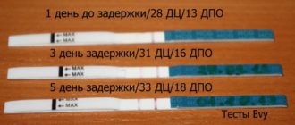 Возможна ли беременность 5 дней задержки