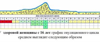Менструальный цикл 25 дней