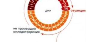 Возможно ли забеременнеть?