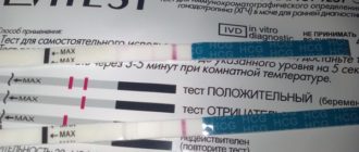 Вторые месячные после аборта задержка 10 дней тест отрицательный