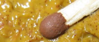 Чёрное точки в кале