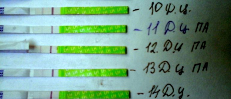 Долго нет месячных после отмены ОК