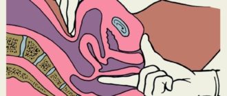 Мне парень засунул палец, могла ли я забеременеть?