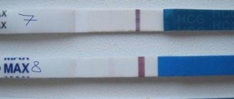 ЭКО 9 день после переноса