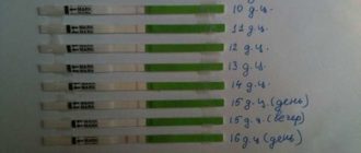 Месячные пришли в середине цикла