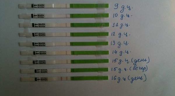 Месячные пришли в середине цикла