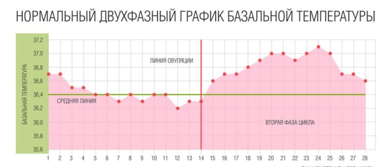 Вирахувати початок овуляції