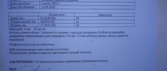 УЗИ щитовидной железы расшифровка