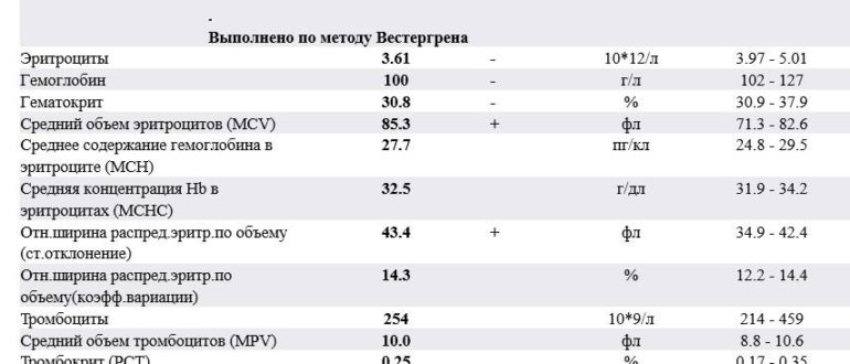 Моноциты и тромбоциты в крови