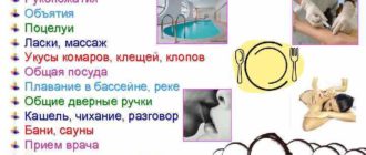 Можно ли заразиться через ласки руками