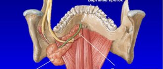 Воспаление подъязычного мясца, помощь