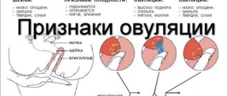 Месячные после незащищенного секса через неделю