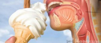 Мороженое при тонзиллите