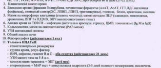 Эко, анализы перед Эко с приемом Визанны