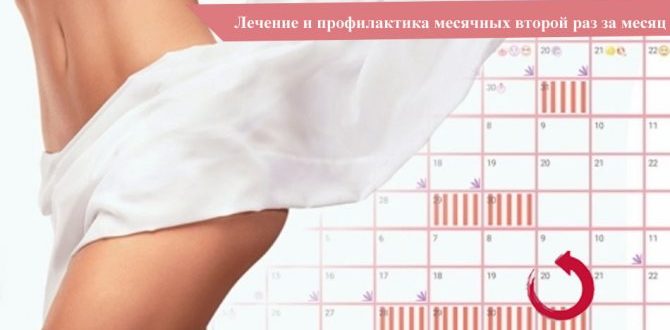 Месячные раз в 4 месяца