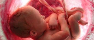 Возможно ли повредить плод в утробе