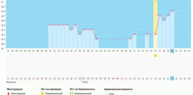 Месячные через 12 дней после месясных