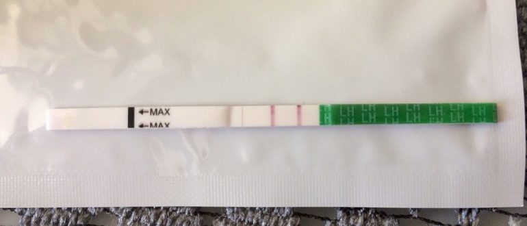 Выделения на 15-17 дц