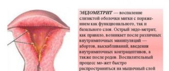 Эндометрий после родов