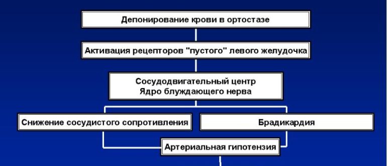 ВСД с редкими синкопальными состояниями