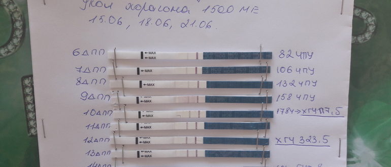 Эко хгч на 10дпп