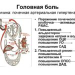 Что лечить? Желудок, поджелудочную или желчный?