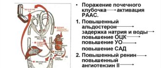 Влияние камней в почках на артериальное давление