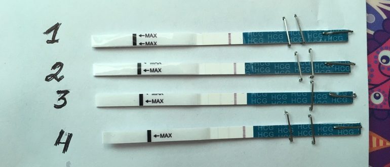 Второй день задержки, тест отрицательный