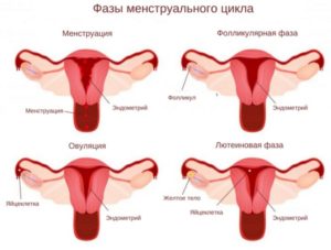 Месячные не останавливаются