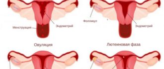 Месячные не останавливаются