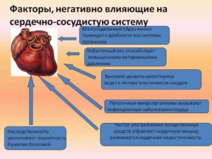 Влияют ли антибиотики на сердце, чем лечить сердце?