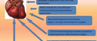 Влияют ли антибиотики на сердце, чем лечить сердце?