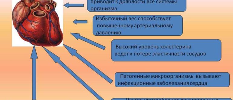 Влияют ли антибиотики на сердце, чем лечить сердце?
