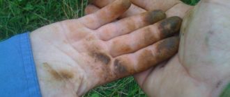 Чернеют руки